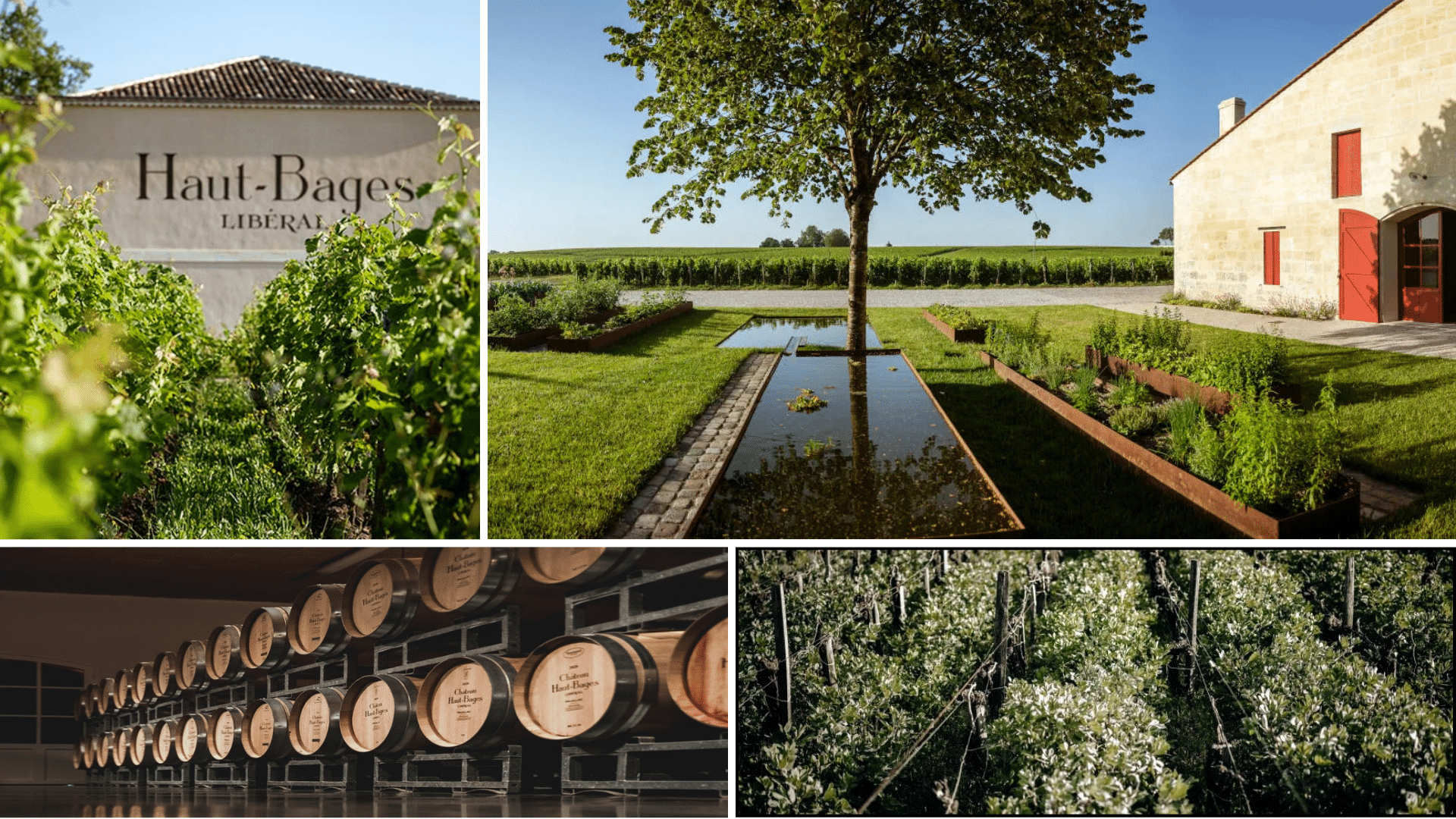 CHATEAU HAUT BAGES LIBERAL